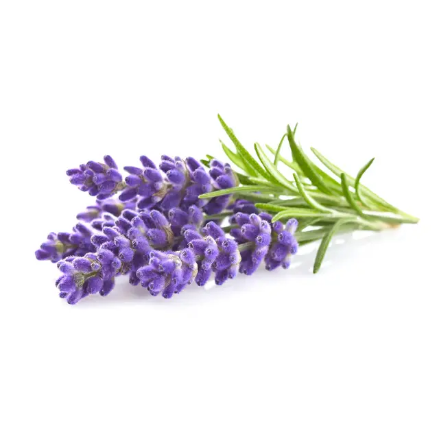 Click and Grow Συσκευασία Σπόρων με Χώμα, για Λεβάντα - 3τμχ 2
