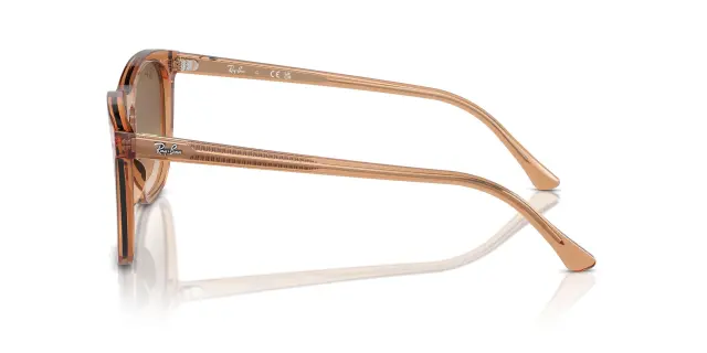 Γυαλιά Ηλίου Ray Ban RB2210 676451 Ντεγκραντέ (Ray Ban) (RB2210 676451) 3