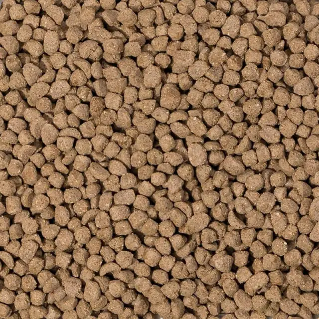 Beaphar Care+ Rabbit Junior - Τροφή για Νεαρά Κουνέλια - 1.5kg 2