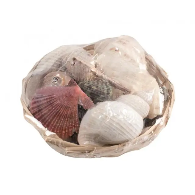 Glorex Σετ Κοχύλια Mix σε Καλαθάκι (Ø14cm) ~350gr