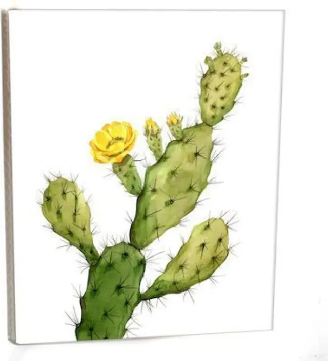 Άλμπουμ pocket με θήκες για 36 φωτογραφίες 13Χ18 CACTUS (κωδ. 3252)