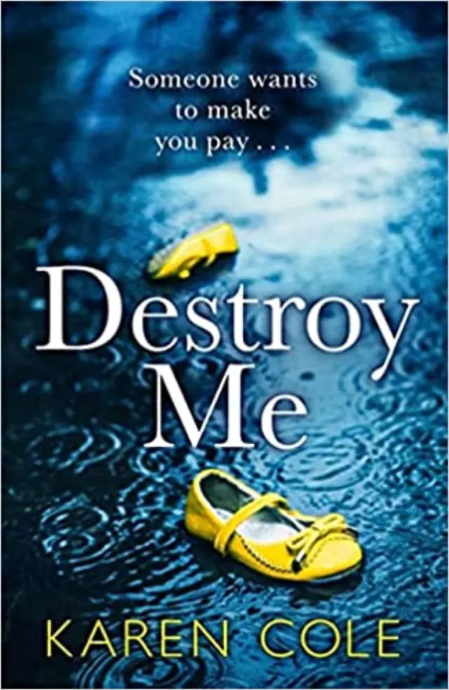 DESTROY ME 9781529413618