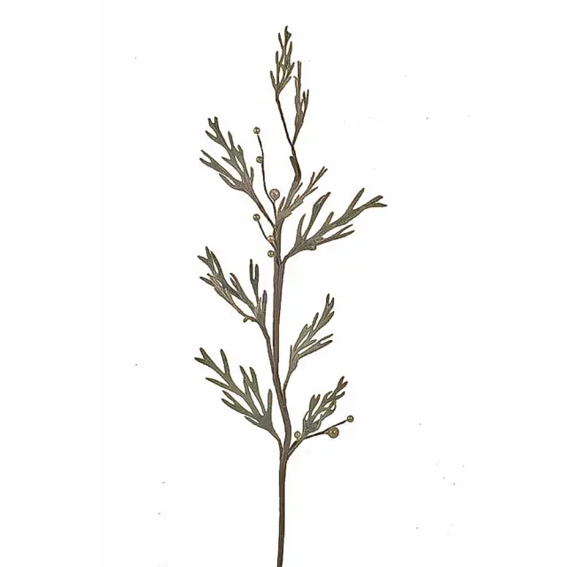 Φύλλα Παγωμένα κ περλέ λευκά Berries 40cm HomeGuru SR119