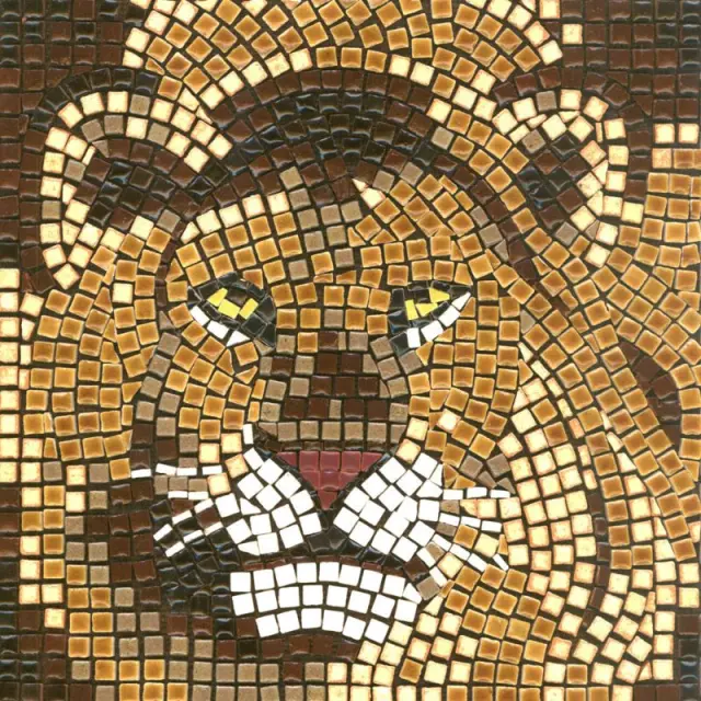 Σετ Με Μίνι Κεραμικές Ψηφίδες 20x20cm, Lion