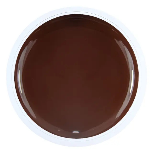 ARTISTIC PAINTING GEL BROWN 3g