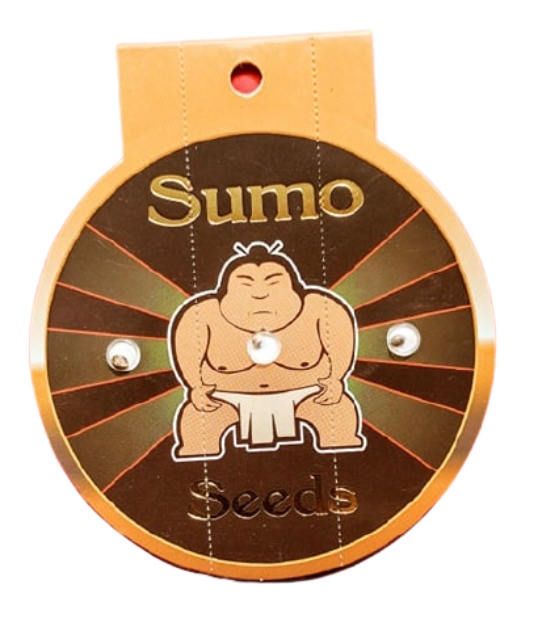 Sumo Seeds - Appleberry - 3 seeds