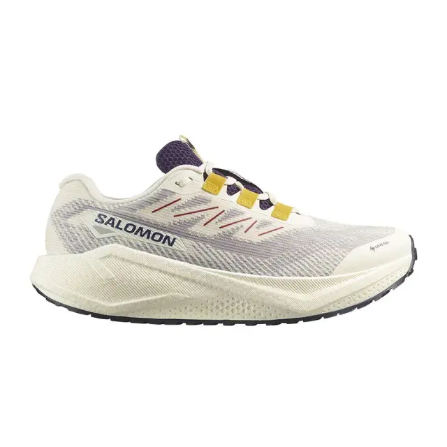 Salomon Men's Aero Blaze 3 Gravel Gore-Tex Γκρι Ανοιχτό 479532 (Salomon) - 46