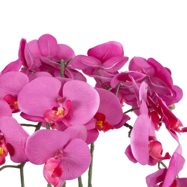 GloboStar® Dark Pink Orchid 21123 Διακοσμητική Φούξια Ορχιδέα Y50cm Πράσινο Ροζ 2