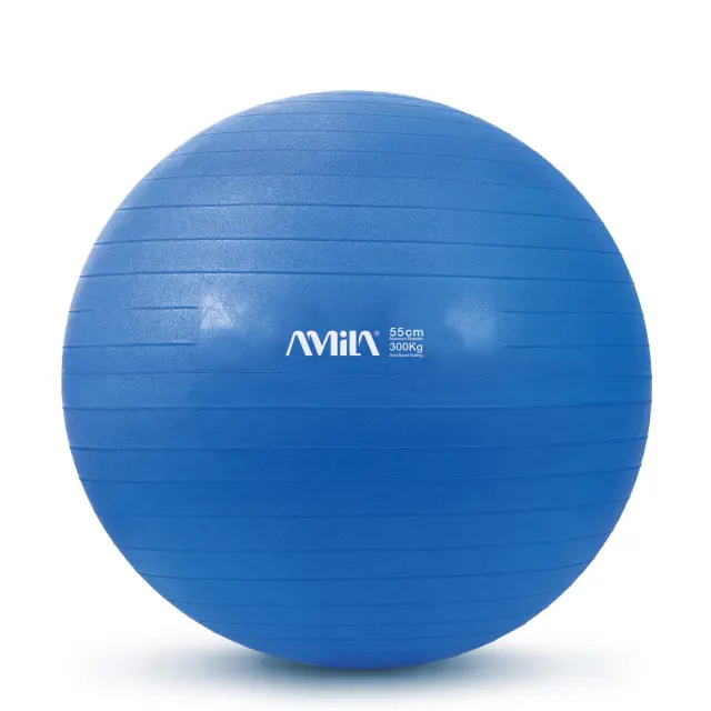 AMILA Μπάλα Γυμναστικής 55cm - Μπλε (95831)