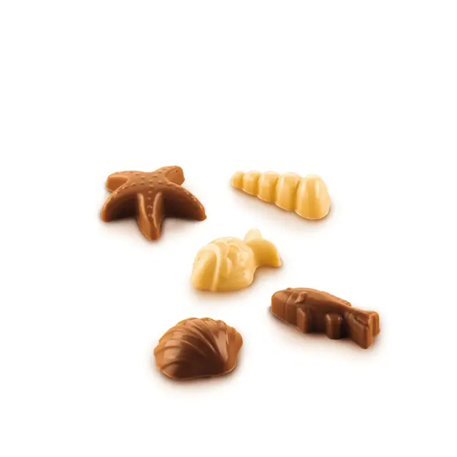 Φόρμα Σιλικόνης για Σοκολατάκια Fiture Choco 2