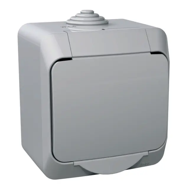 Cedar Plus - 1pole switch - 16AX, grey