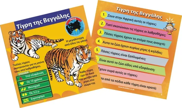 50/50 Games Επιτραπέζιο Παιχνίδι Brainbox: Ζώα 3