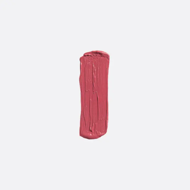 Elixir Forever Lip Mat Κραγιόν 206