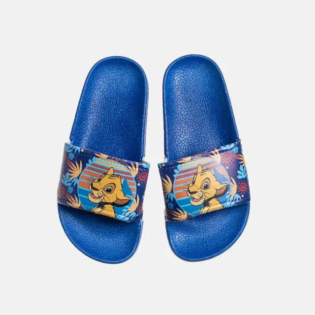 Slides Disney Lion King 2