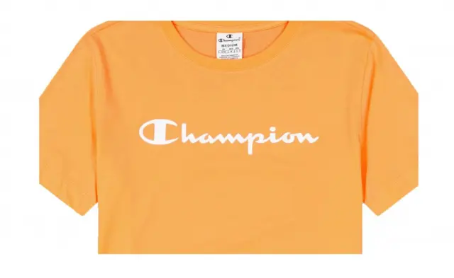 CHAMPION CREWNECK T-SHIRT ΜΠΛΟΥΖΑ ΑΝΔΡΙΚΗ ORANGE 2