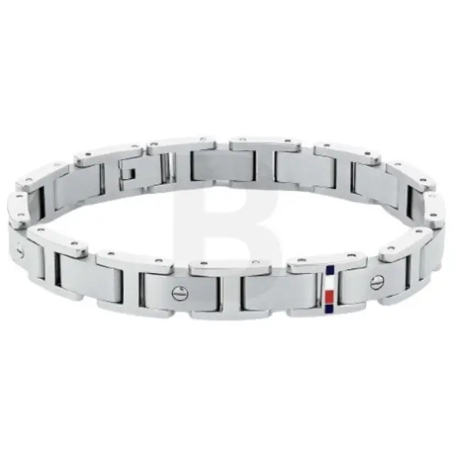 Tommy Hilfiger Casual 2790393