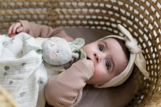 Taf Toys Bunny Blankie Πανάκι Παρηγοριάς Βαμβακερό Grey 2