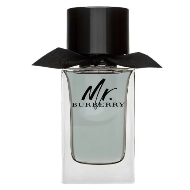 Burberry Mr. Burberry Eau de Toilette for men 100 ml