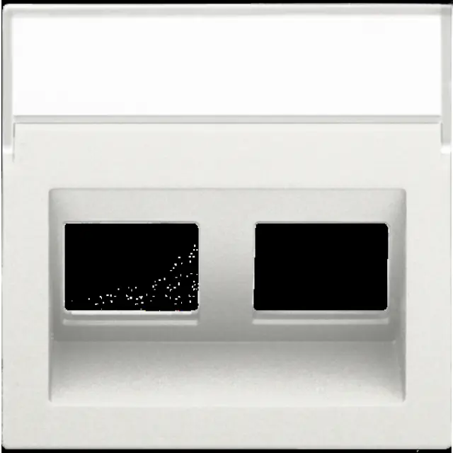 Data Central Plate 2x RJ Oblique Output, White