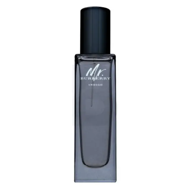 Burberry Mr. Burberry Indigo Eau de Toilette for men 30 ml