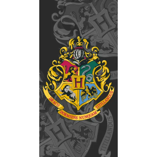 Πετσέτα Θαλάσσης Βαμβακερή Βελούδινη Harry Potter 320gsm Γκρι 70 x 140 cm Γκρι 70 x 140 cm