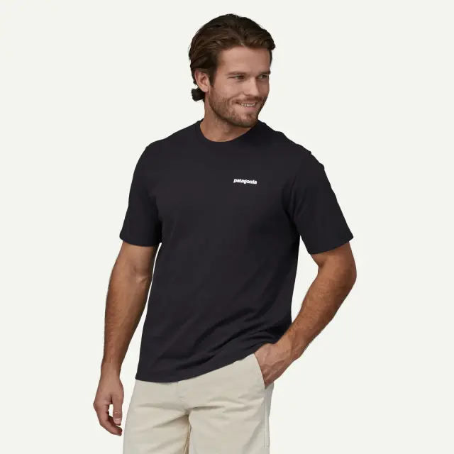 Patagonia P-6 Logo T-Shirt Ανδρικό Blue Sage - Small 3