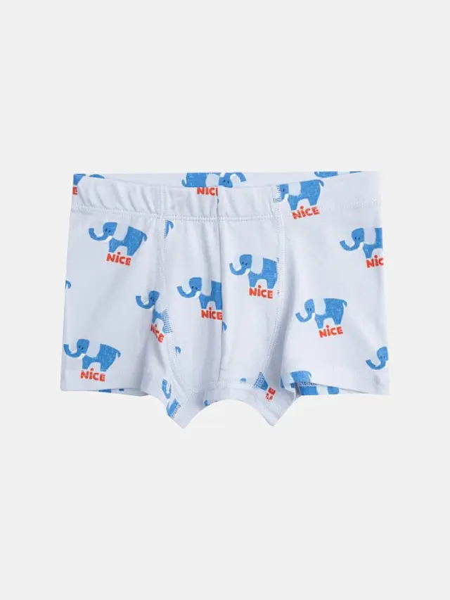 Παιδικό Σετ Εσωρούχων για Αγόρια Elephant Boxers ΜΠΛΕ 2