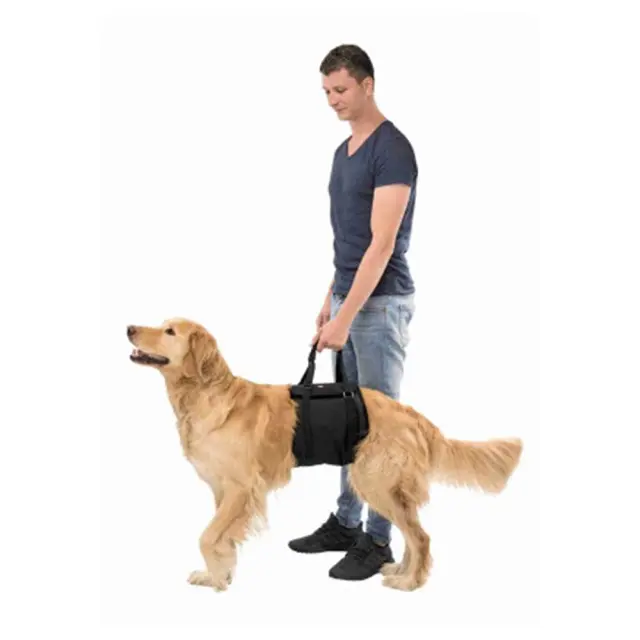 Trixie Lifting Aid Σαμαράκι Ανύψωσης Βοηθητικό Medium 60-65cm 2