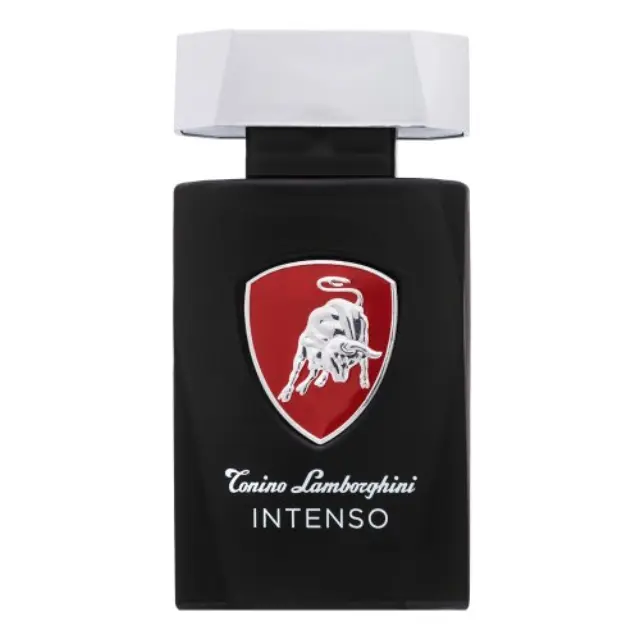 Tonino Lamborghini Intenso Eau de Toilette for men 125 ml