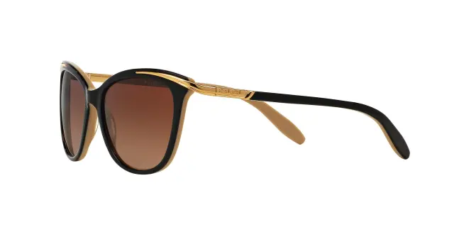 Γυαλιά Ηλίου Ralph Lauren RA5203 1090T5 Ντεγκραντέ Polarized (Ralph Lauren) (RA5203 1090T5) 3