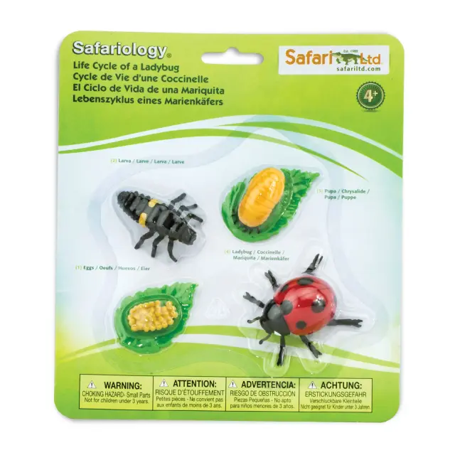 Safari Ltd Μινιατούρες Ο Κύκλος Ζωής Της Πασχαλίτσας (4+ ετών) 662716 3