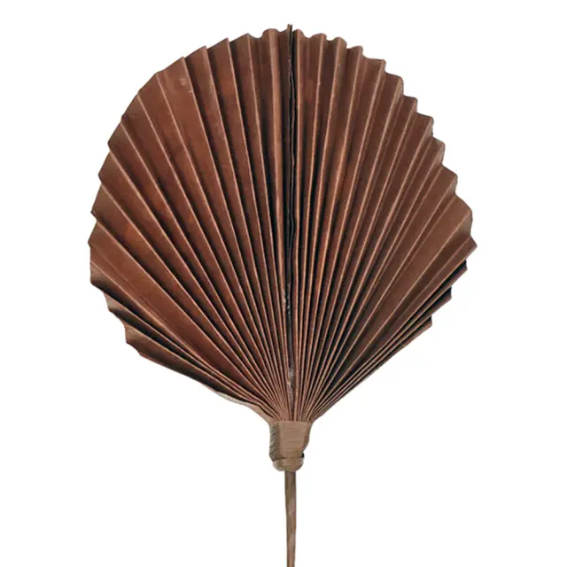 Διακοσμητικό φύλλο φοίνικα καφέ 25x75cm Homeguru KAL-1205 25001