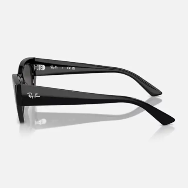 Γυαλιά Ray Ban 0RB4430 667787 Μαύρο - 52 3