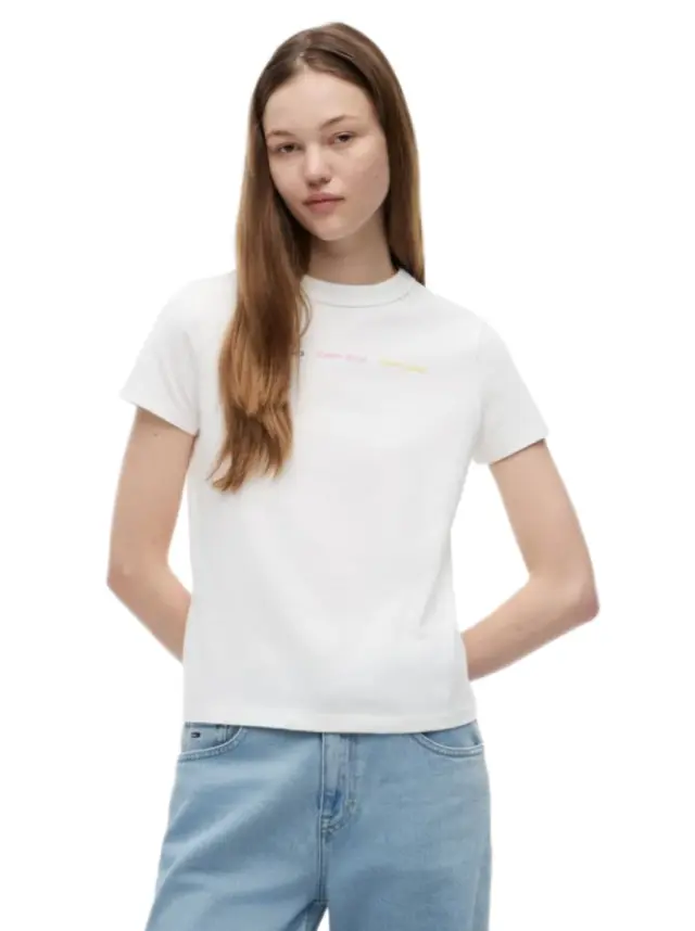 TommyHilfiger γυναικείο t-shirt λογότυπο DW0DW22905-1