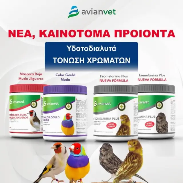 Avianvet Color Gould Muda - Ενίσχυση χρωματισμού Gouldian - 100g 2