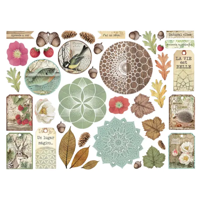 Die Cuts Stamperia, Forest 2