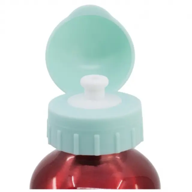 ΠΑΓΟΥΡΙ ΑΛΟΥΜΙΝΙΟΥ BOTTLE 530 ML MINNIE MOUSE BEING MORE -74460 3