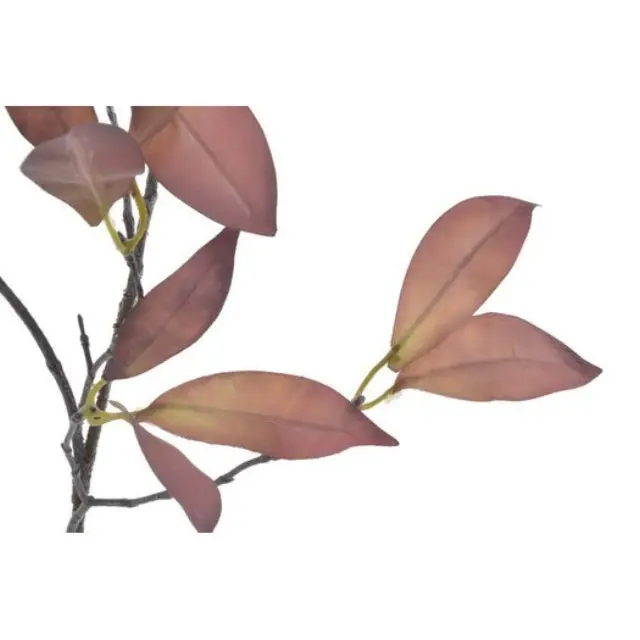 Φυλλώδες κλαδί, 83cm, red 2