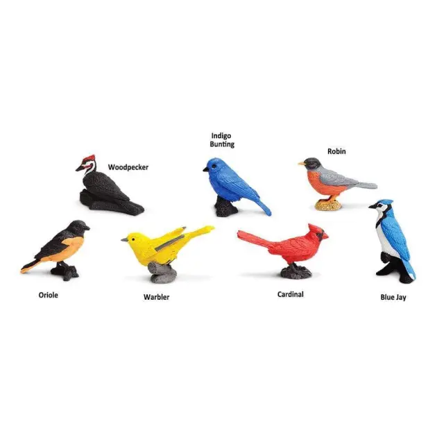 Safari Ltd Μινιατούρες Backyard Birds TOOB Πουλιά Της Αυλής (3+ ετών) 678304 2
