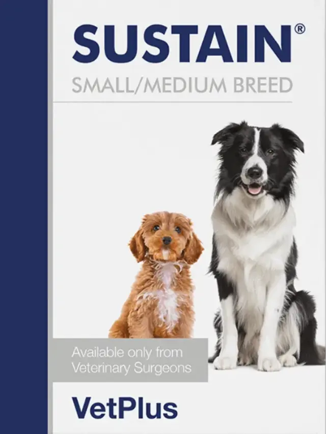PETHEALTH VetPlus Sustain Small/Medium Breed(30 Sachets)