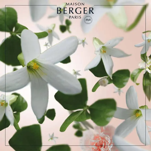 Maison Berger Paris Lampe Berger Refill Υγρό Αναπλήρωσης Καταλυτικής Λάμπας Jasmin Precieux 500ml 3