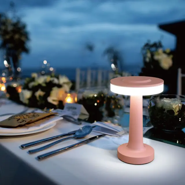 LED Φωτιστικό Επαναφορτιζόμενο Touch+USB Type C Ροζ 2Watt JULIE CCT IP54 VIV005141