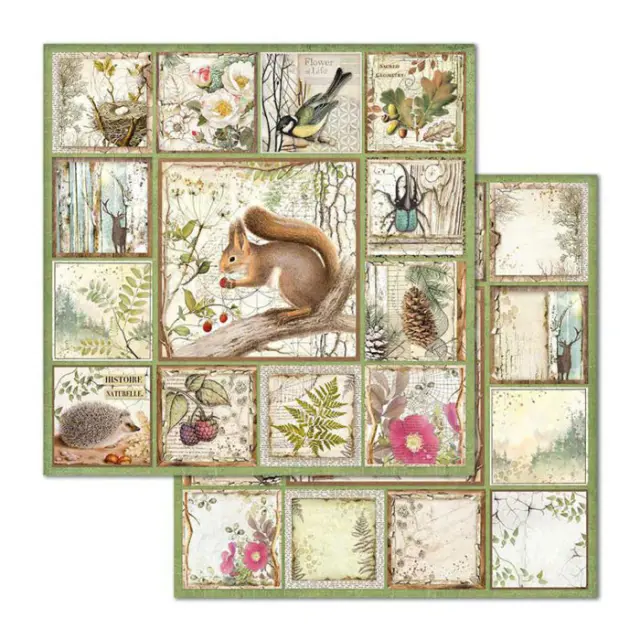 Χαρτί Scrapbooking Stamperia Διπλής Όψης - Forest Squirrel - 31x30cm