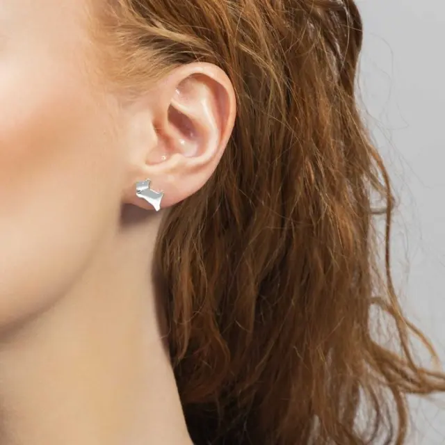 Radley London Earrings RYJ1223 3