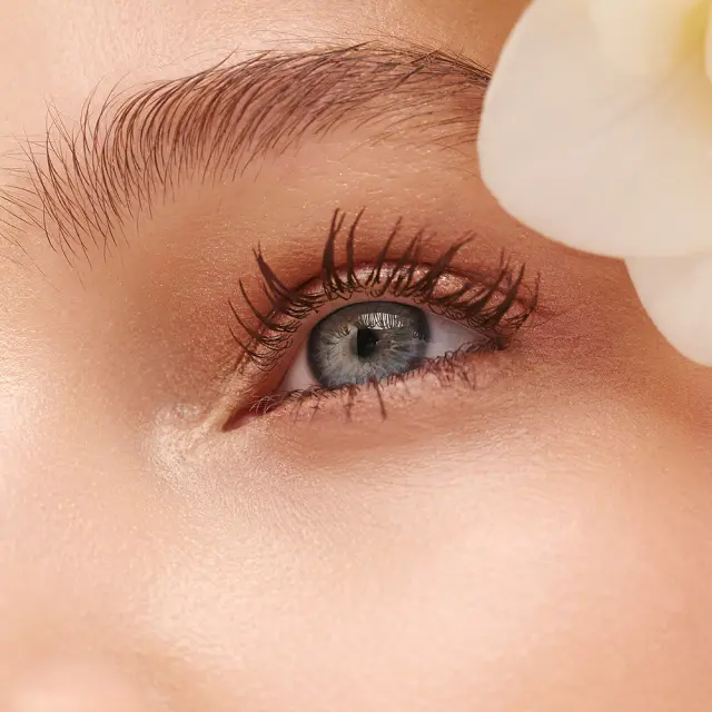 Garden | Panorama Mascara 301 Brown | 8.5ml 2