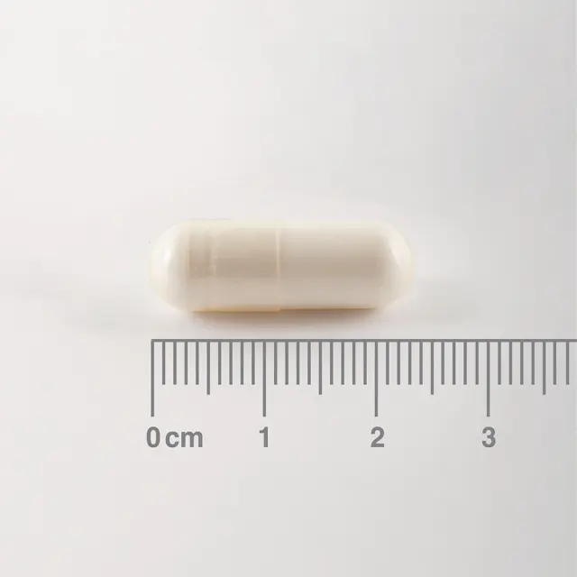 LAMBERTS BCAA – Branch Chain Amino Acids 180 Κάψουλες 2
