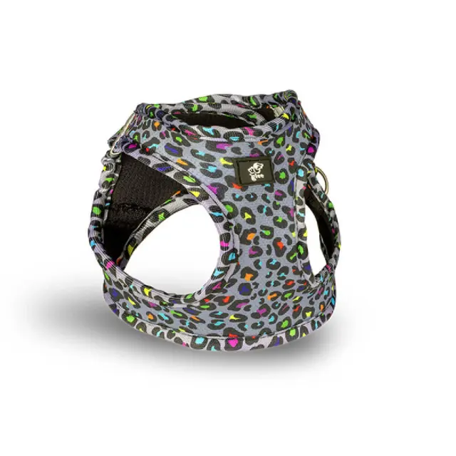 Glee Platinum Indy Leo – Σαμαράκι Step In XS 28-32cm