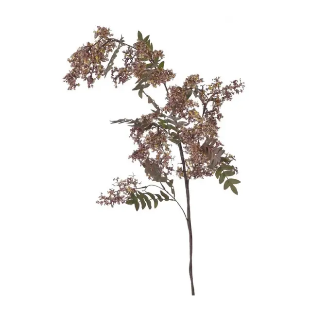 Κλαδί ακακίας ροβίνια, 120cm, καφέ