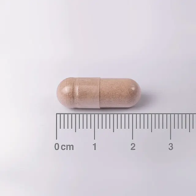 Lamberts L-Theanine 200mg 60tabs | Συμπλήρωμα Διατροφής Θειανίνης με Χαλαρωτικές Ιδιότητες 2