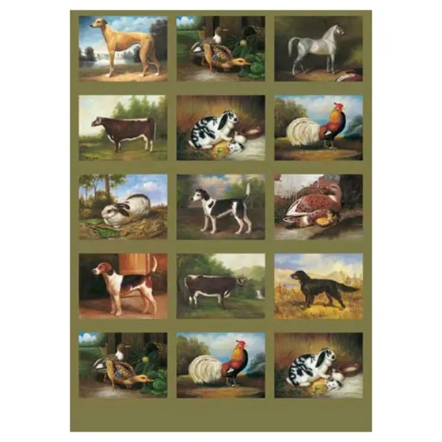 Χαρτί Calambour 50x70cm